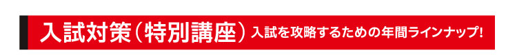 入試対策（特別講座）:⼊試を攻略するための年間ラインナップ!