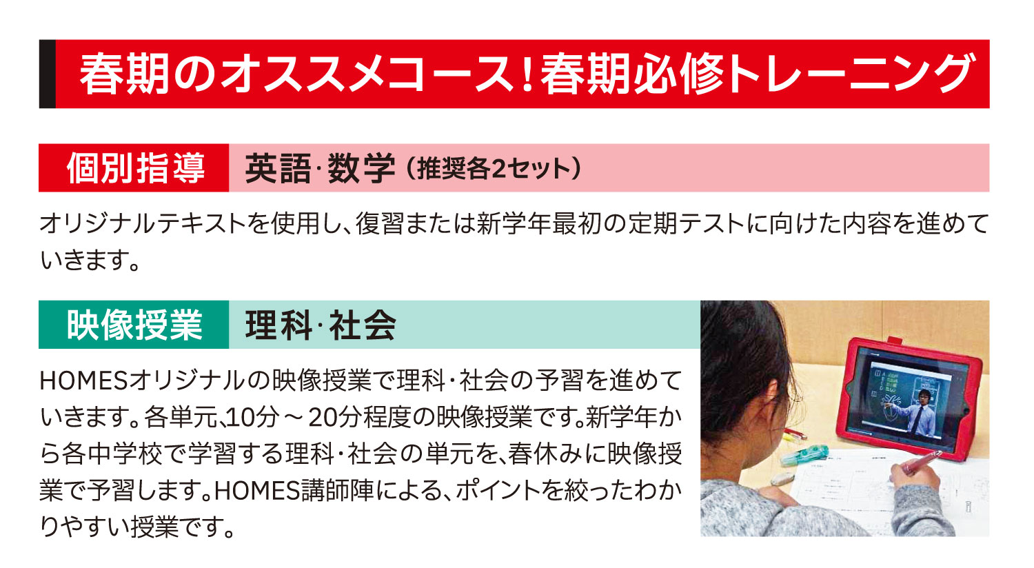 input 個別指導:英語・数学 映像授業:理科・社会