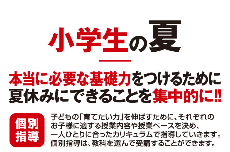 小学生の夏 本当に必要な基礎力をつけるために夏休みにできることを集中的に