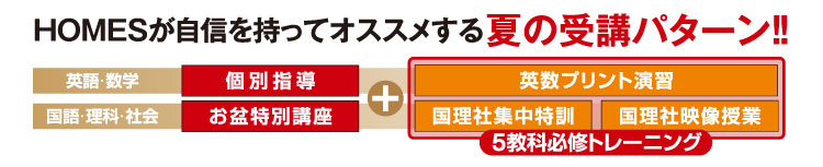 HOMESが自信を持ってオススメする夏の受講パターン!!