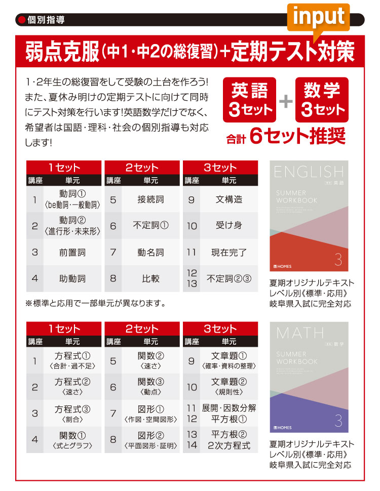 個別指導 input:弱点克服（中１・中２の総復習）＋定期テスト対策