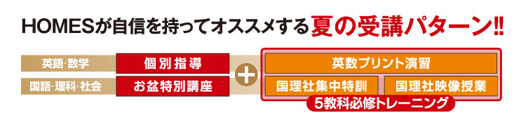 HOMESが自信を持ってオススメする夏の受講パターン!! 英語・数学:個別指導 国語・理科・社会:お盆特別講座+英数プリント演習 国理社集中特訓 国理社映像授業 5教科必修トレーニング