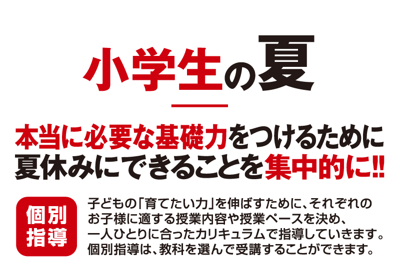 小学生の夏 本当に必要な基礎力をつけるために夏休みにできることを集中的に！！