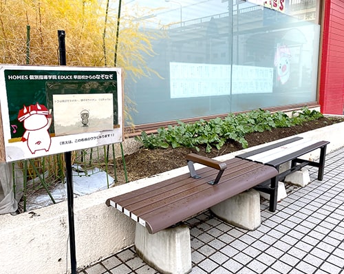 花壇では野菜を育てています